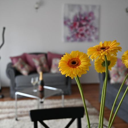 Apartmani Lucija Ludbreg Экстерьер фото