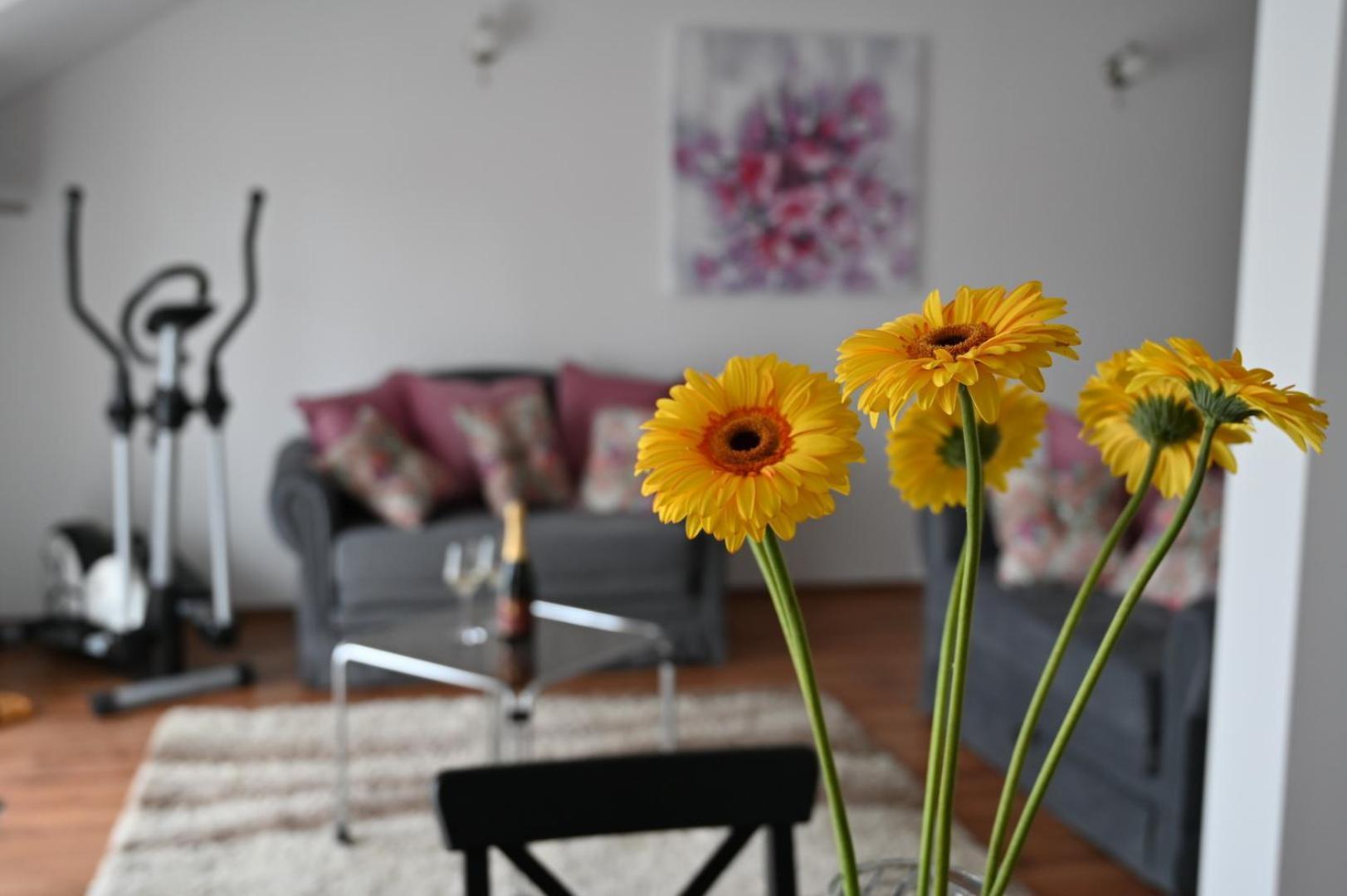Apartmani Lucija Ludbreg Экстерьер фото
